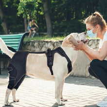 Charger l&#39;image dans la galerie, ATTELLE-POUR-CHIEN-REPARATRICE
