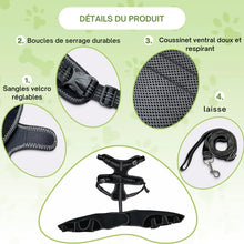 Charger l&#39;image dans la galerie, Attelle-pour-chien-detail-du-produit
