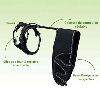 Attelle-pour-chien-double-genouillere