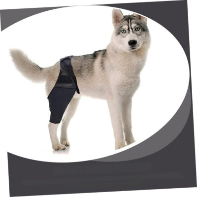 Attelle-pour-chien-entorse