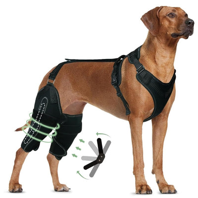 Attelle-pour-chien-rehabilitation