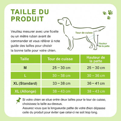 Attelle-pour-chien-taille-du-produit