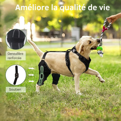 Attelle-pour-chien-taille-du-produit