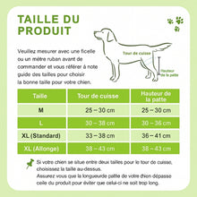 Charger l&#39;image dans la galerie, Attelle-pour-chien-taille-du-produit
