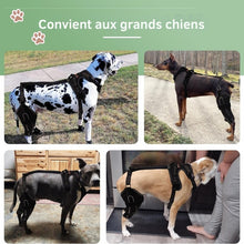 Charger l&#39;image dans la galerie, Attelle-pour-grand-chien
