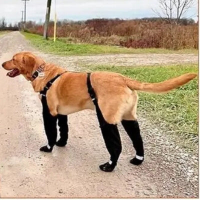 Bottes-pour-chien-avec-bretelles