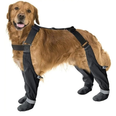 Bottes-pour-chien-longues