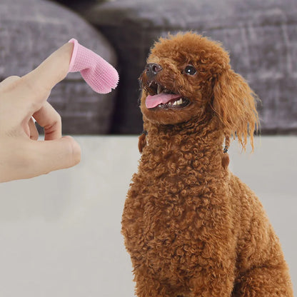 Brosse-a-dent-chien