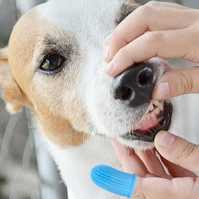 Brosse a dent pour chien | Dexdent™