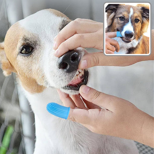 Brosse-a-dent-pour-chien-soin-mauvaise-haleine