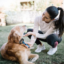 Charger l&#39;image dans la galerie, Brosse pour chien | LisseLueur™
