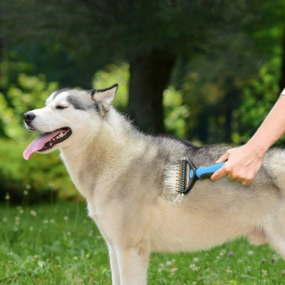 Brosse pour chien | LisseLueur