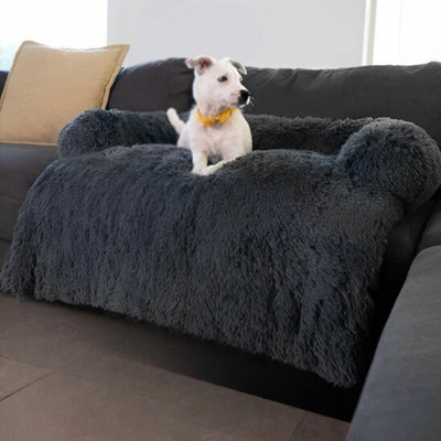 Canape-pour-chien-charbon