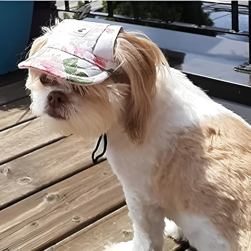 Casquette-pour-chien-Fleur