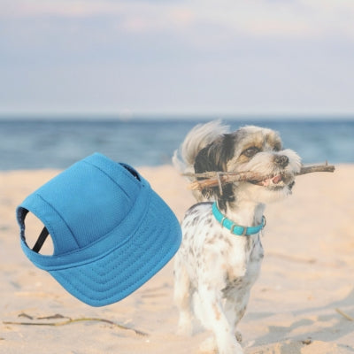 Casquette-pour-chien-bleu-a-la-plage