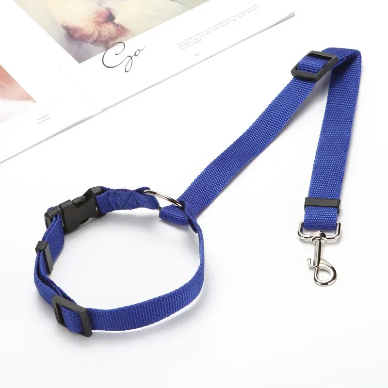 Ceinture-Sécurité-Universelle-Chien
