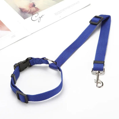 Ceinture-Sécurité-Universelle-Chien
