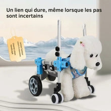 Charger l&#39;image dans la galerie, Chariot-pour-chien-de-Fidele-compagnon-store
