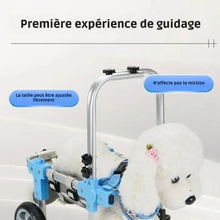 Charger l&#39;image dans la galerie, Chariot-pour-chien-handicape-avec-guidage
