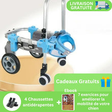 Charger l&#39;image dans la galerie, Chariot pour Chien Handicapé – 2 ou 4 roues pour mobilité adaptée
