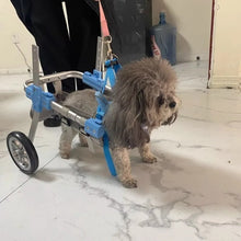 Charger l&#39;image dans la galerie, Chariot pour Chien Handicapé – 2 ou 4 roues pour mobilité adaptée
