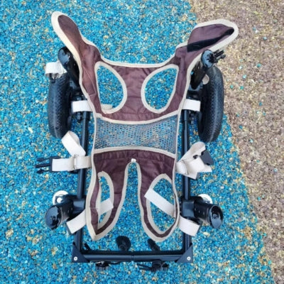 Chariot-pour-chien-handicape-support-integral