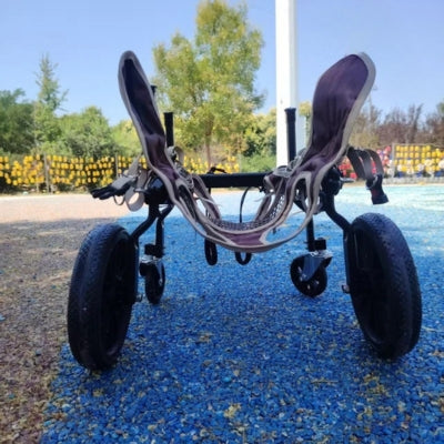 Chariot-pour-chien-handicape-support-total