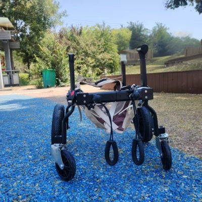 Chariot-pour-chien-handicape-tout-terrain