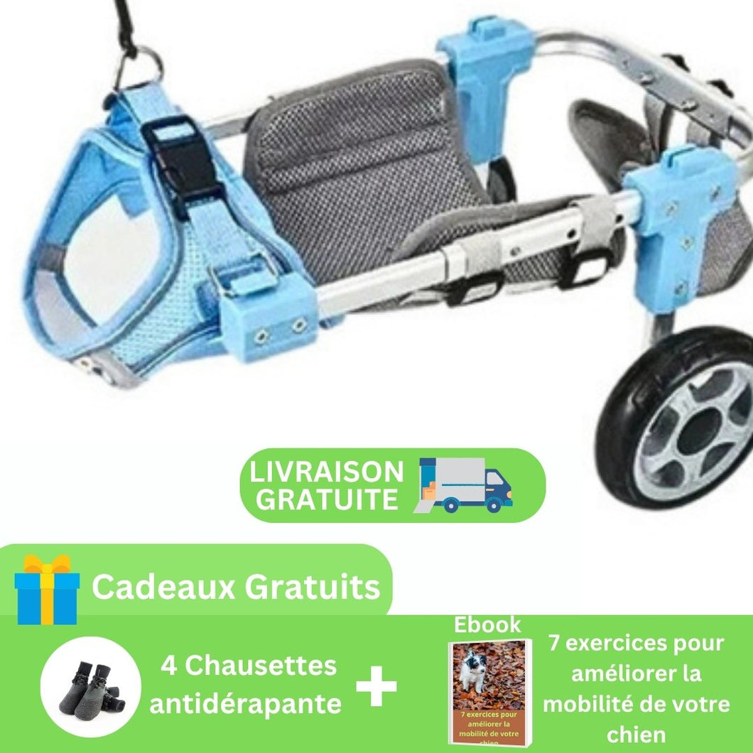 Chariot pour Chien Handicapé – 2 ou 4 roues pour mobilité adaptée