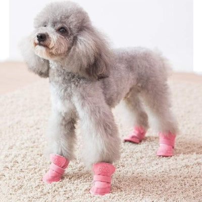 Chaussures-pour-chien-rose