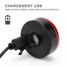 Charger l&#39;image dans la galerie, Colier-chien-lumiere-USB
