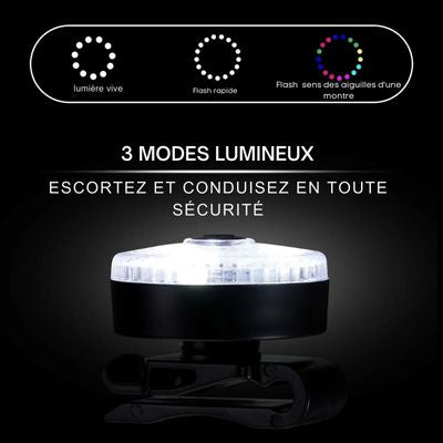 Collier-chien-3-modes-lumineux