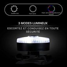Charger l&#39;image dans la galerie, Collier-chien-3-modes-lumineux
