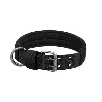 Collier-chien-Noir-Titan