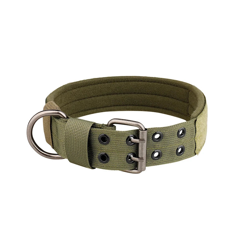 Collier-chien-Vert-Titan