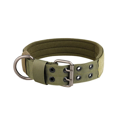 Collier-chien-Vert-Titan