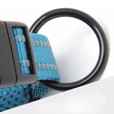 Collier-chien-anneau-securitaire