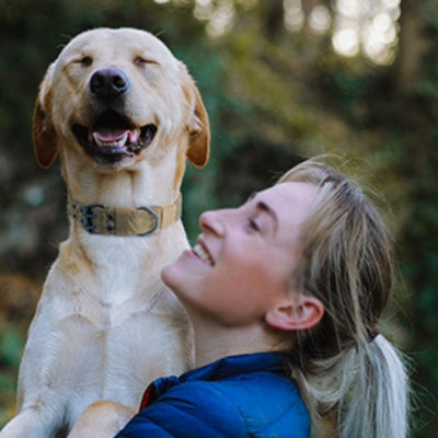 Collier-chien-durable-robuste-rembourre