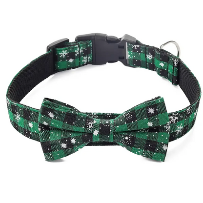 Collier-chien-nœud-papillon-vert