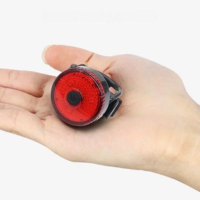 Collier-chien-petite-taille