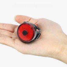 Charger l&#39;image dans la galerie, Collier-chien-petite-taille
