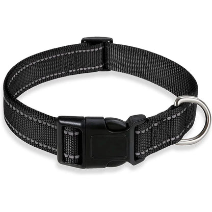 Collier-pour-chien-a-clip-noir