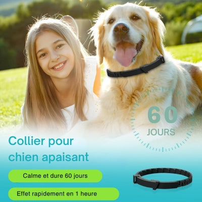 Collier-pour-chien-anti-stress-apaisant