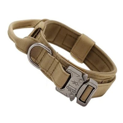 Collier-pour-chien-couleur-Kaki