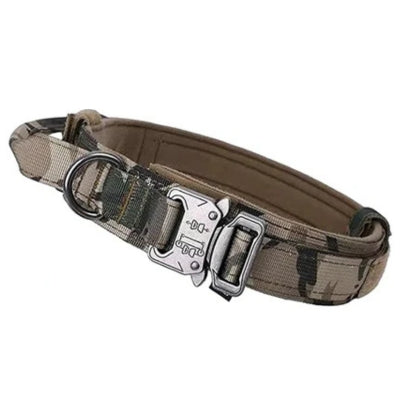 Collier-pour-chien-couleur-camouflage