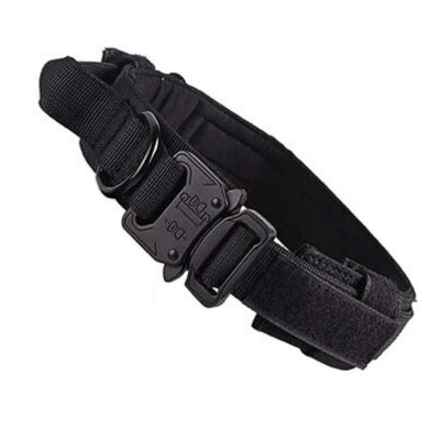 Collier-pour-chien-couleur-noir