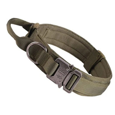 Collier-pour-chien-couleur-vert