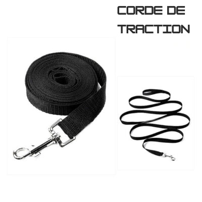 Corde-de-traction-pour-chien
