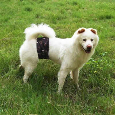 Couche-pour-chien-incontinence-âgée