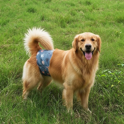 Couche-pour-chien-periode-physiologique